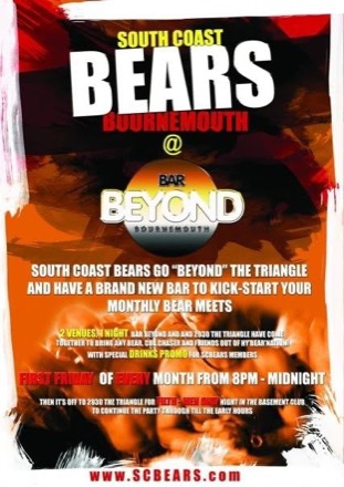 South Coast Bears poster